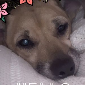 Meet your Posher, Lyric